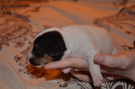 'Der Denker' hat in ERASMUS ernst zu nehmende Konkurrenz bekommen...